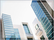 Contact Capital Careers